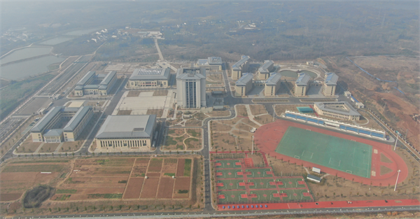 图片198.png